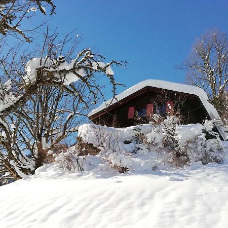 Ferienhaus Schnider Galgenul Εξωτερικό φωτογραφία